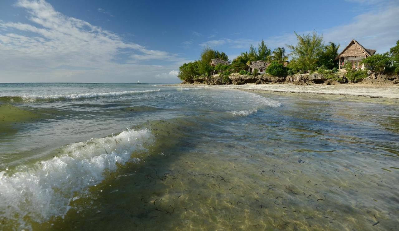 Afya Village At The Sea Michamvi Esterno foto